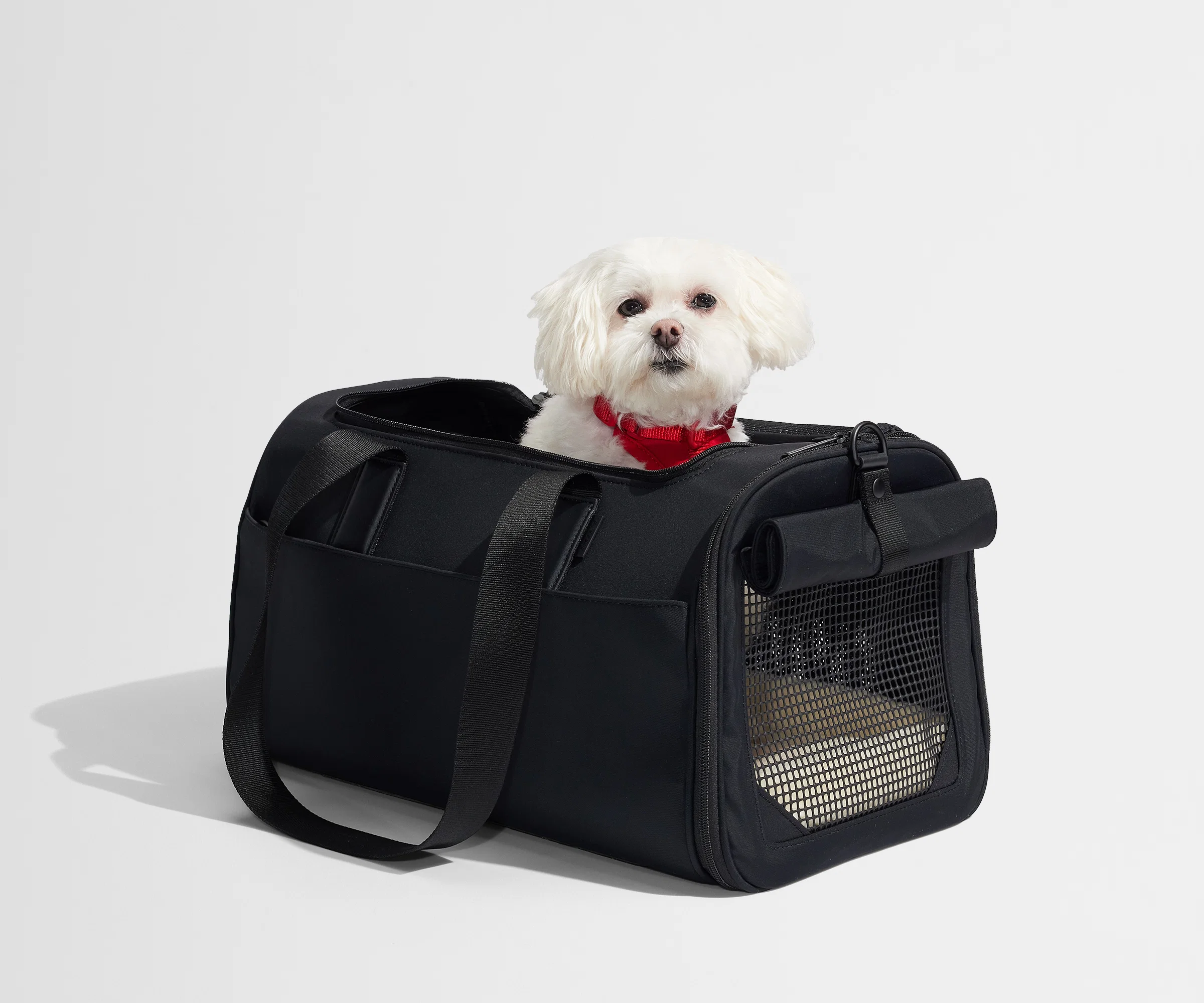 The Pet Carrier in Jet Black - Image 4